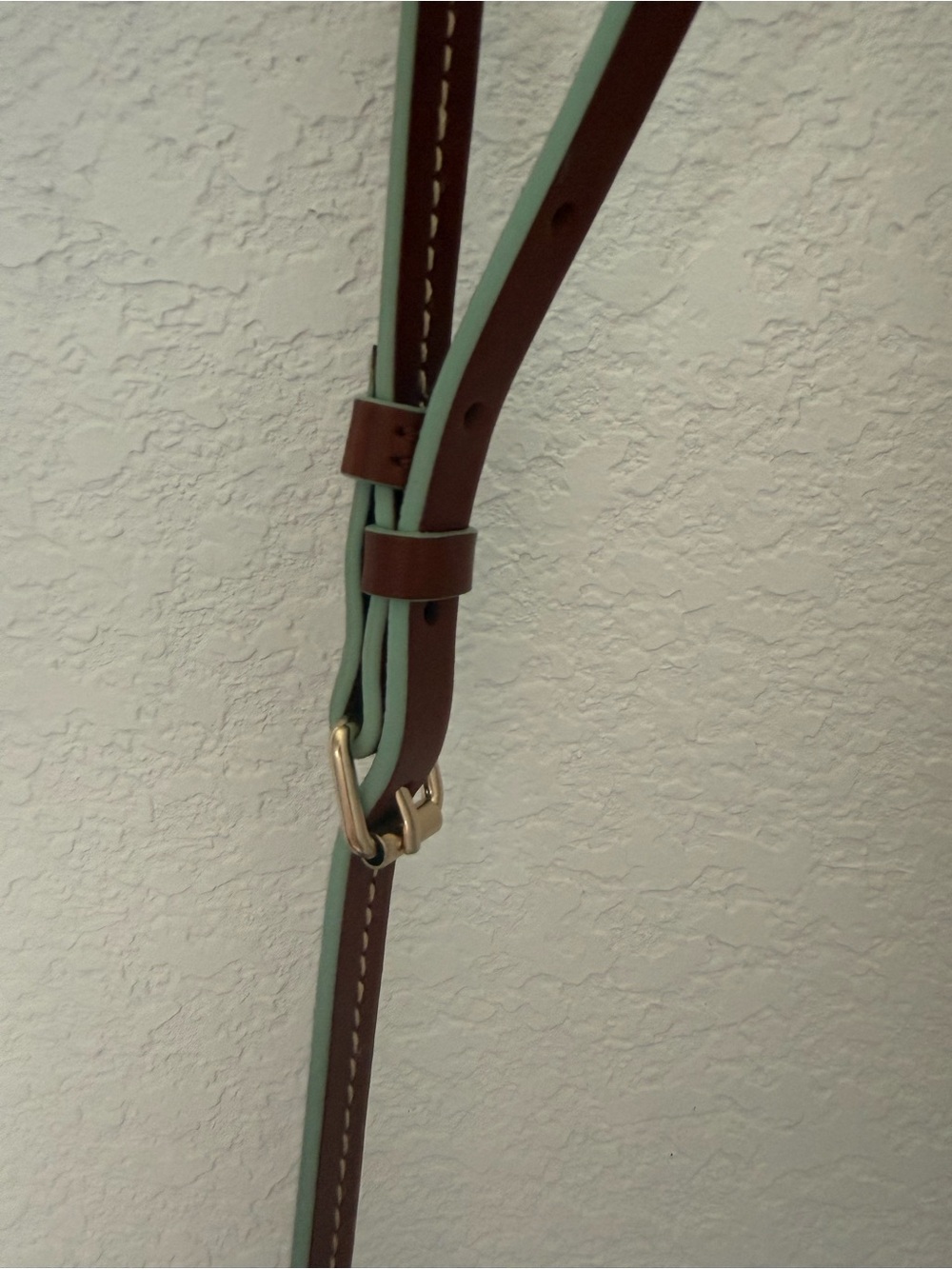 Dooney & Bourke Aqua Disney Dogs Crossbody with Brown Trim - Picture 8 of 8